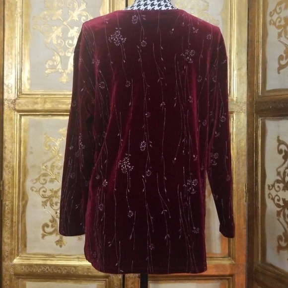 Beautiful Velvet Blouse - Picture 5 of 8